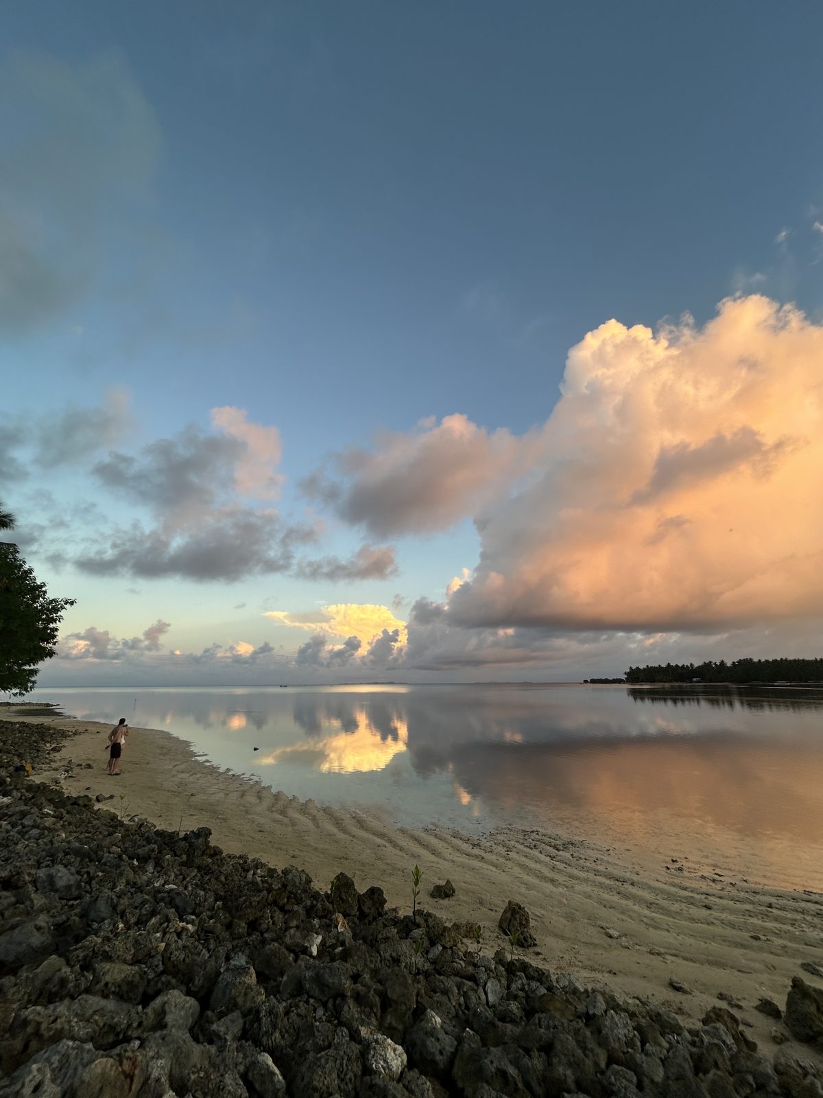 Beauty sunset