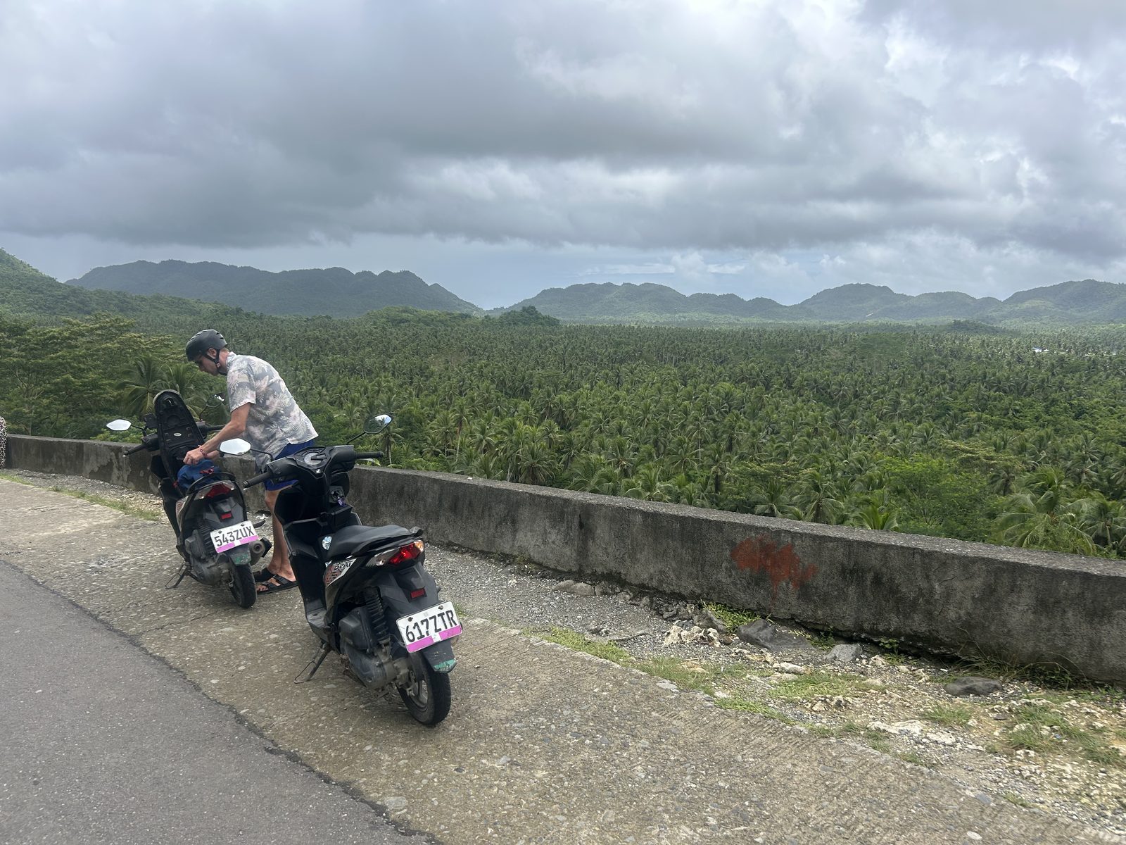 Scooter days. Pulled over for the palm-valley view.