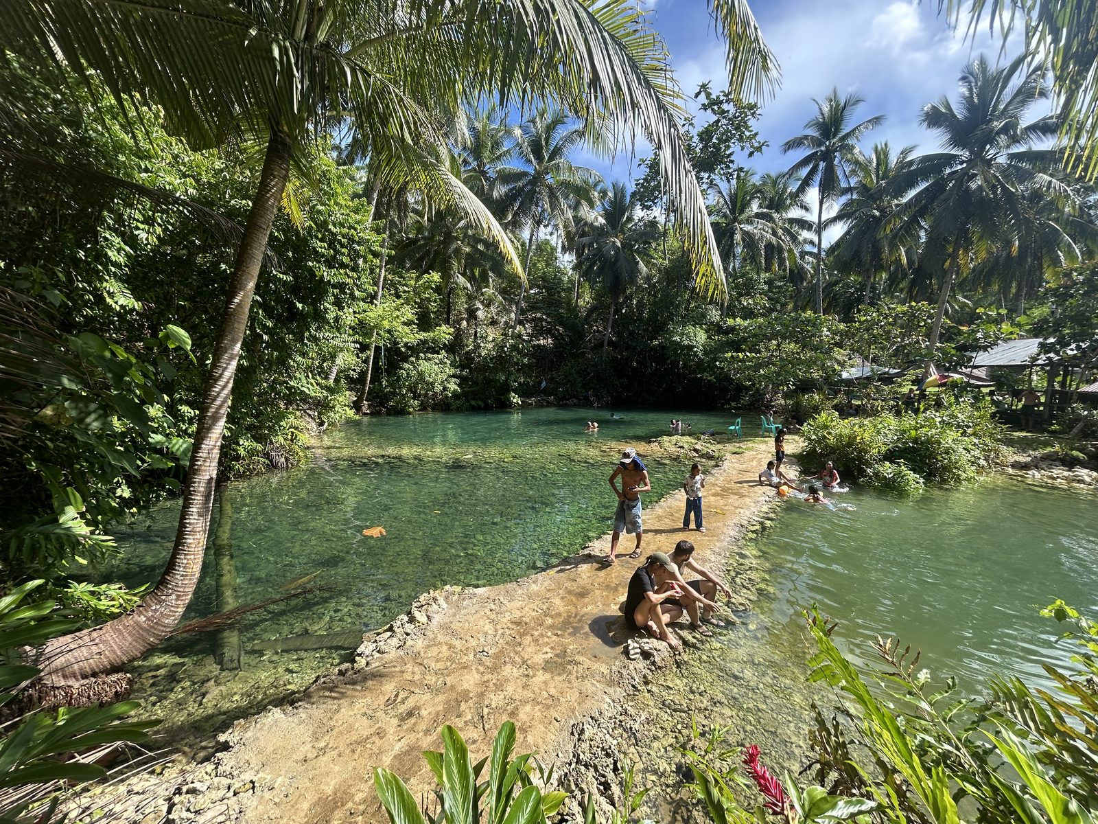 A freshwater spring hidden in the jungle.
