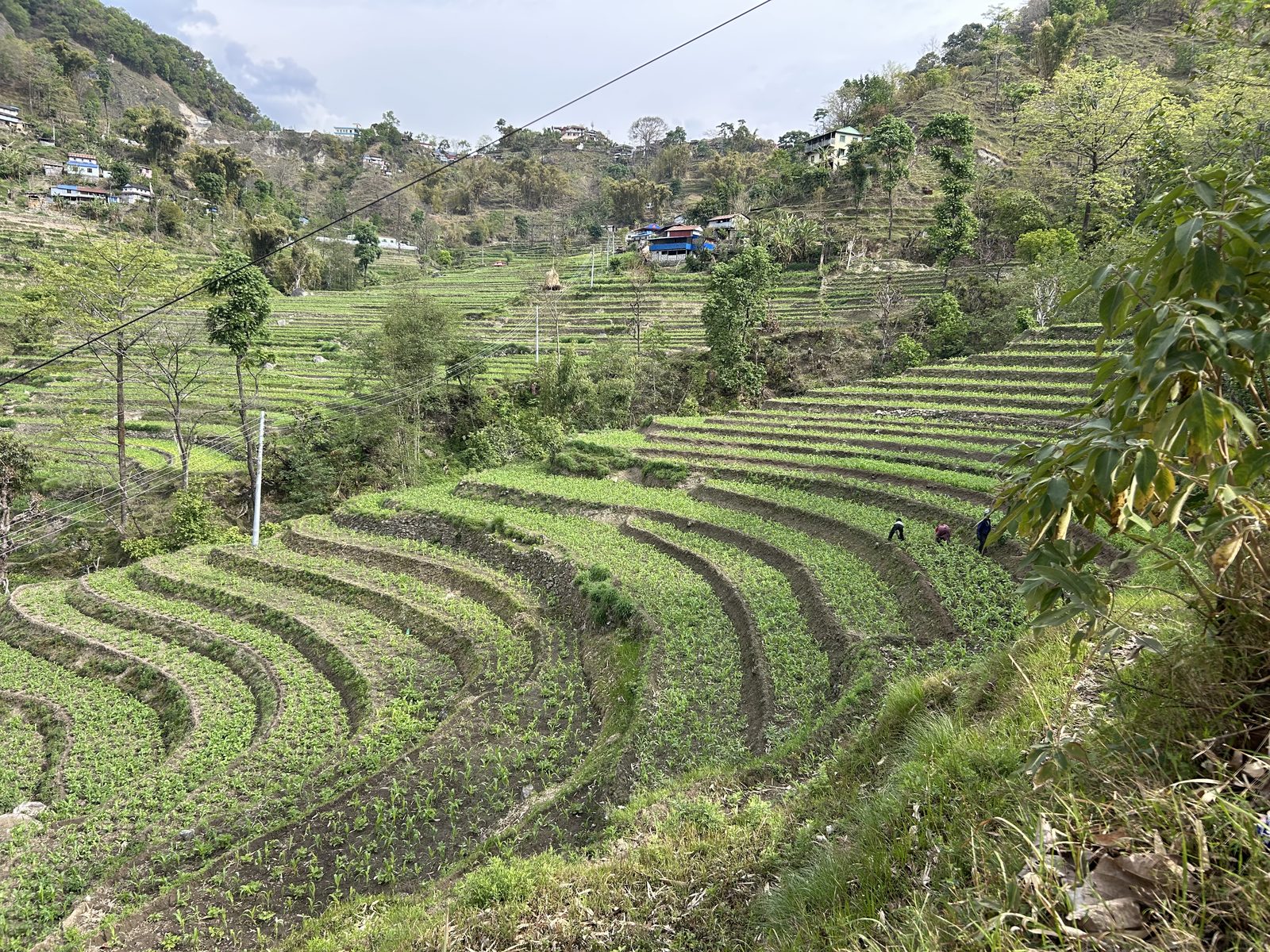 Terraces all the way up the valley.