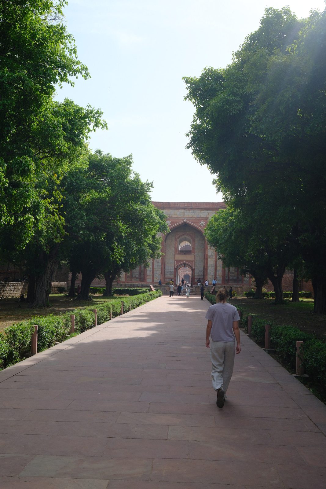 Wandering the Mughal gardens.