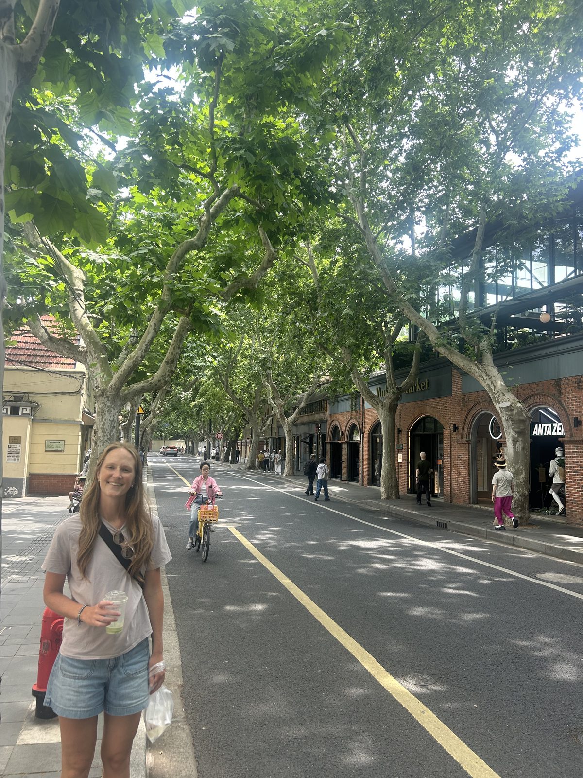 Plane-tree streets in the old French Concession.
