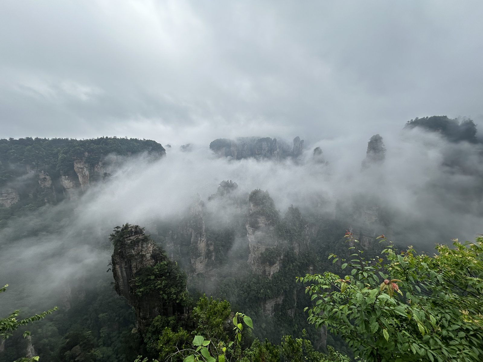 The Avatar mountains, among the clouds.