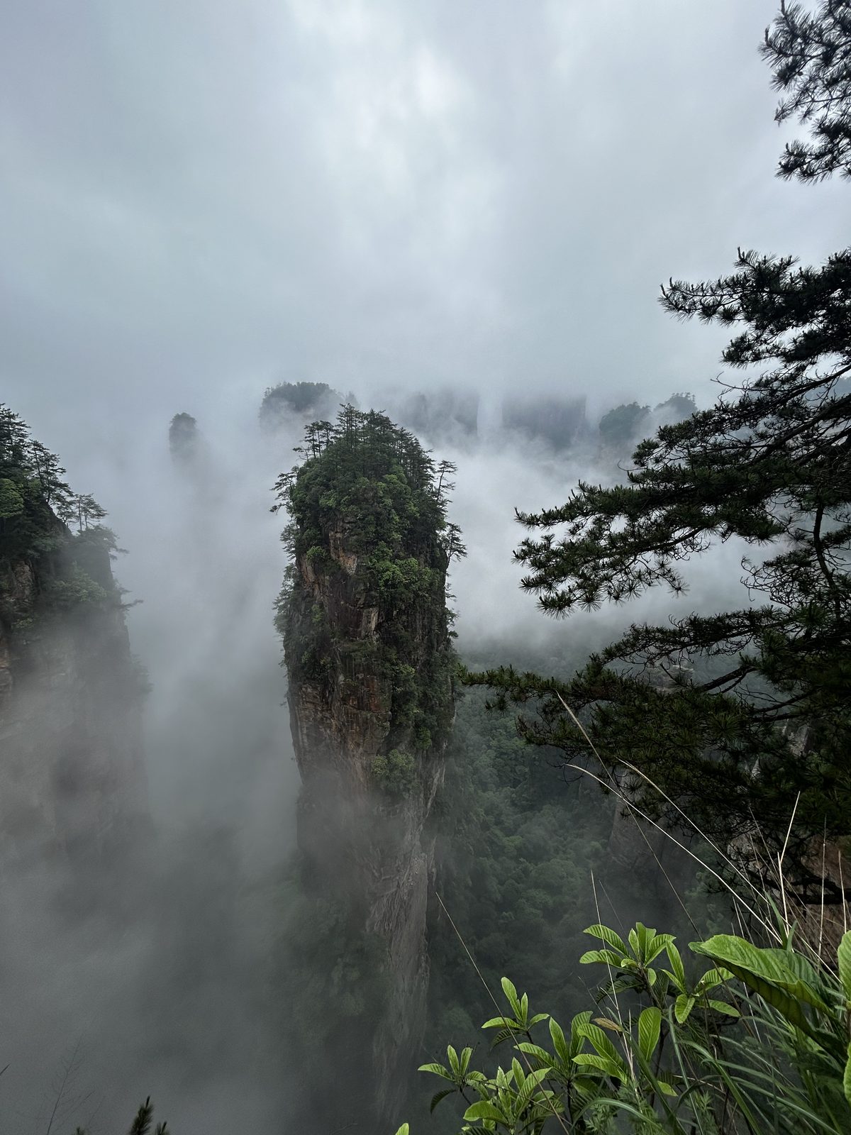 Sheer pillars straight out of Avatar
