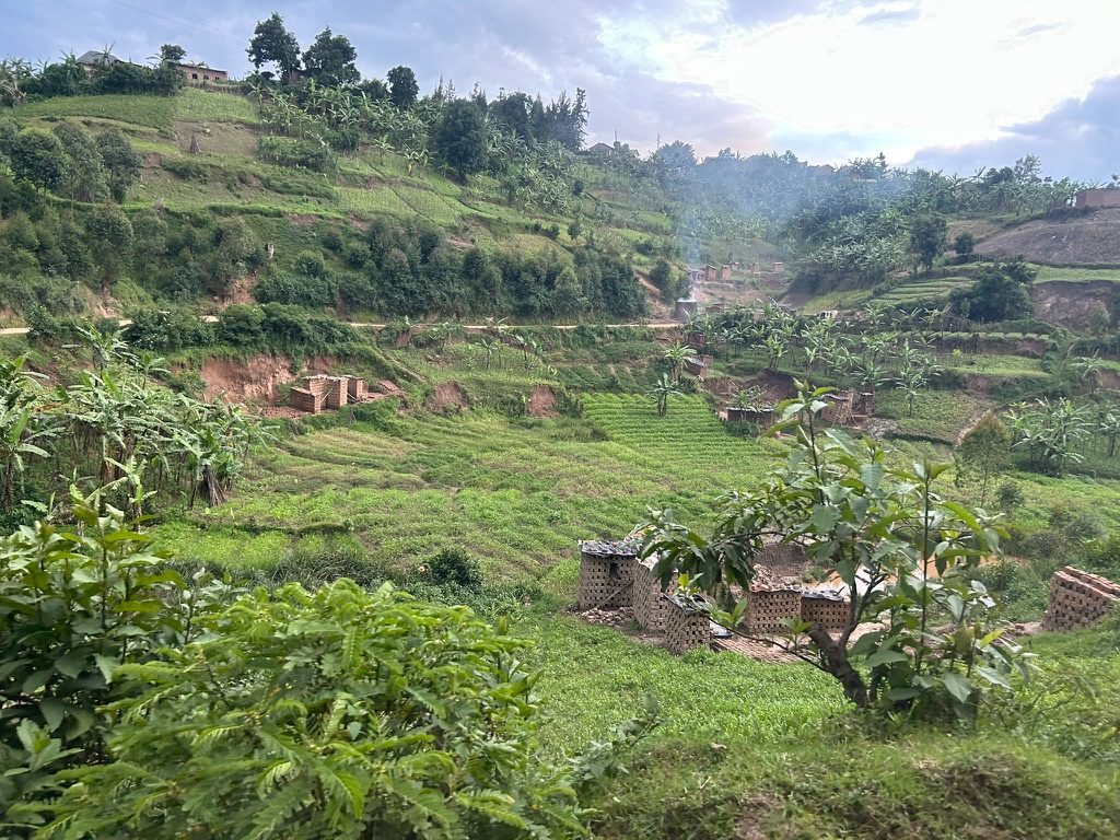 Hillsides of Uganda.