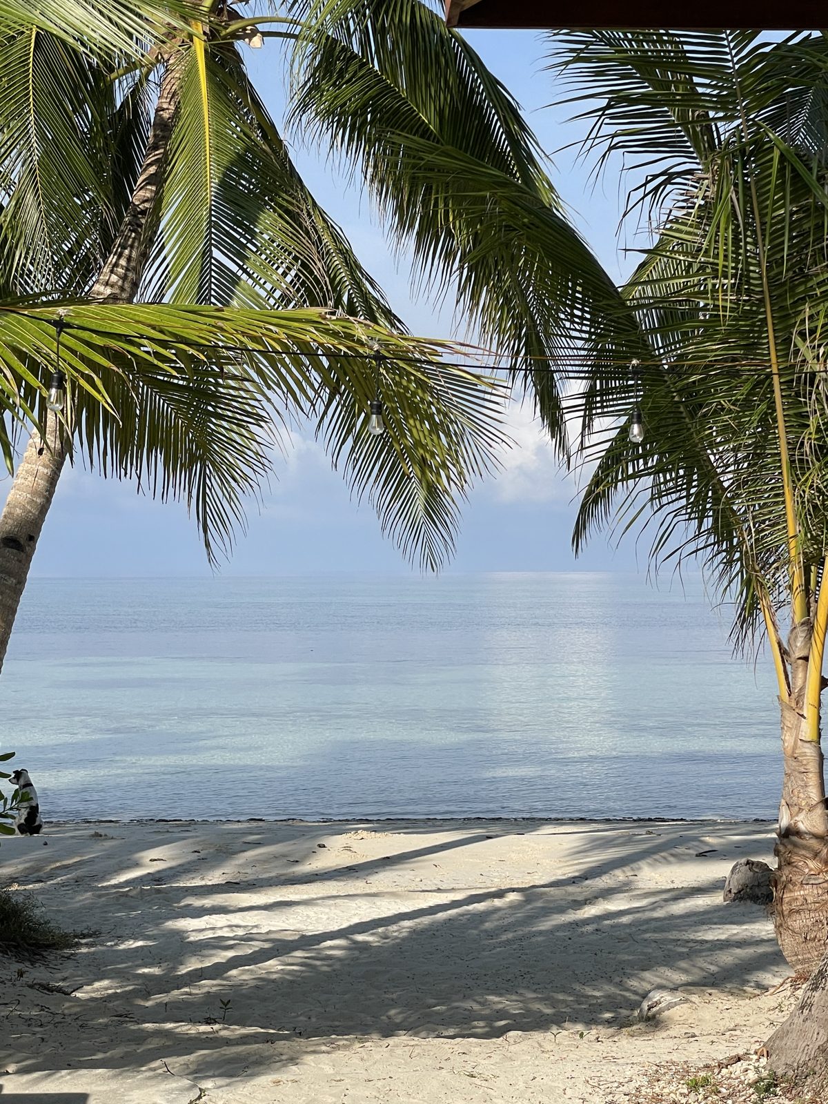 Mornings on Siquijor.
