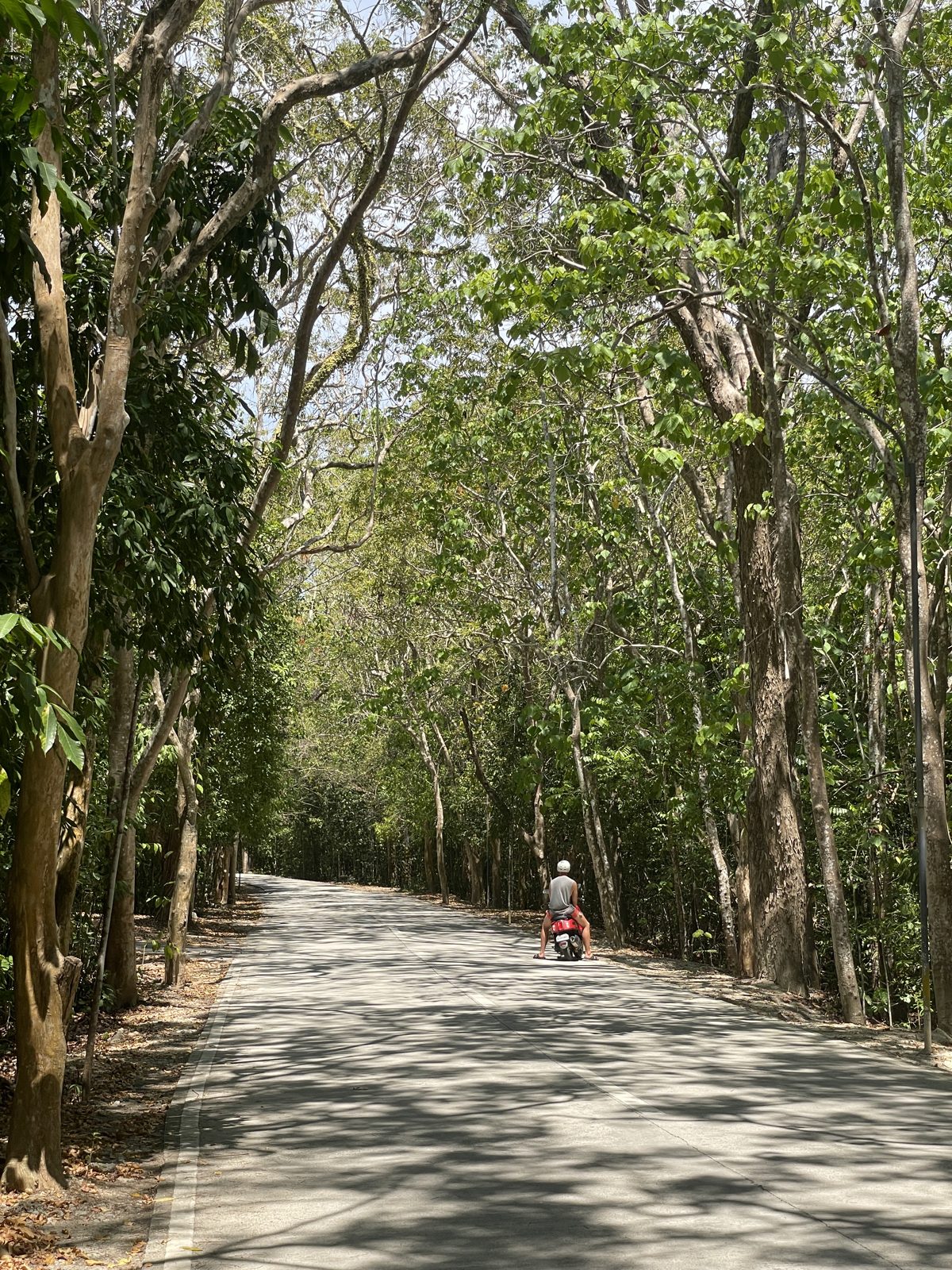 Circling the island by bike.