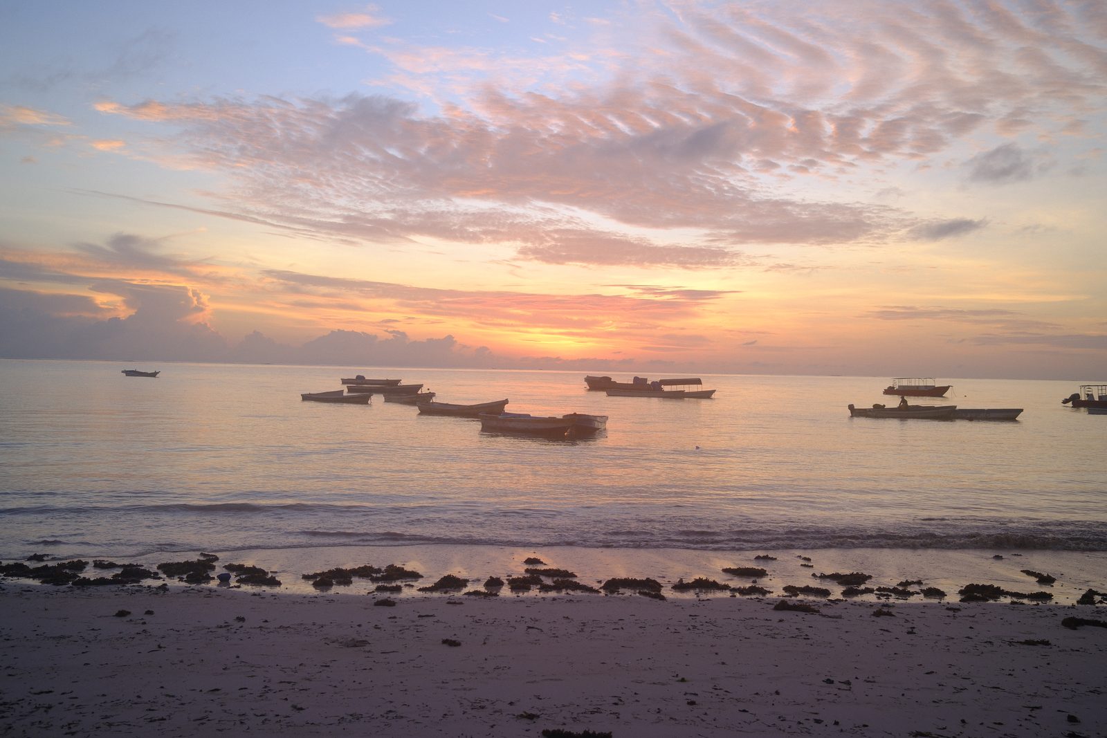 Made it to the ocean! Zanzibar, Tanzania