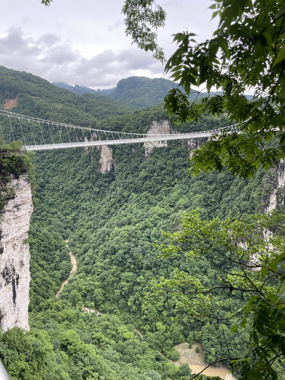 The glass bridge over the canyon.