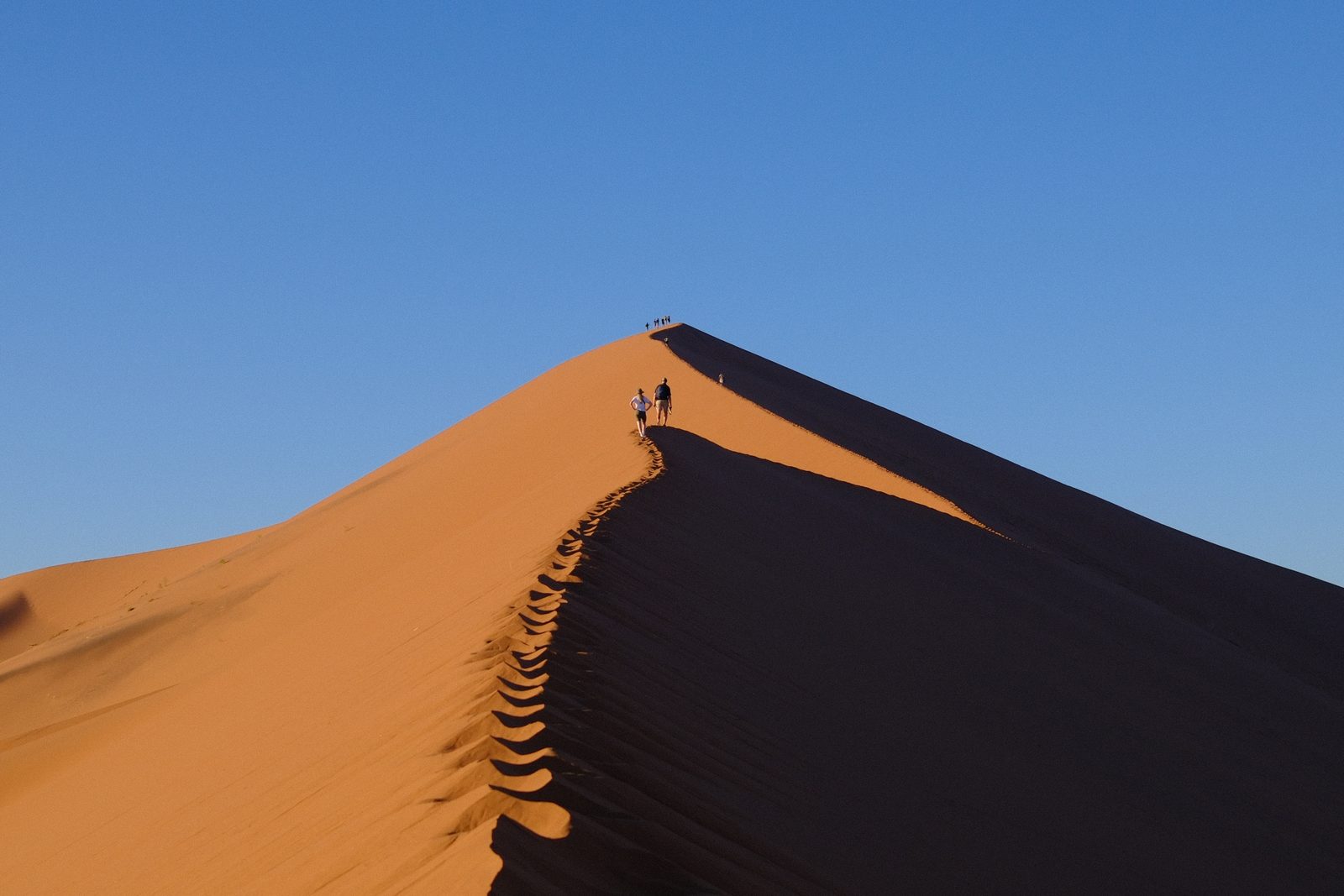 Up the knife-edge of the dune.