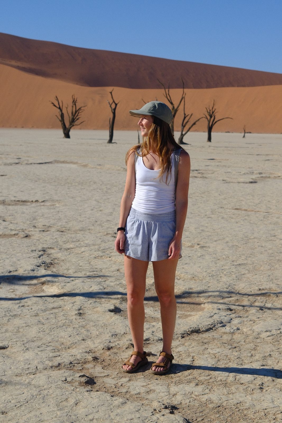 Deadvlei — that surreal white pan.