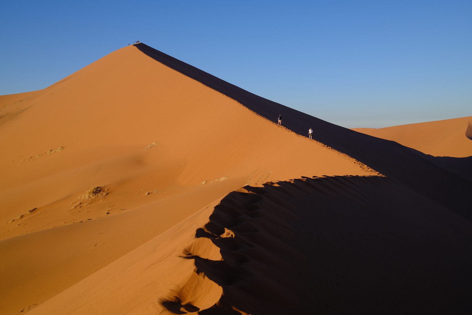 One more dune for the road.