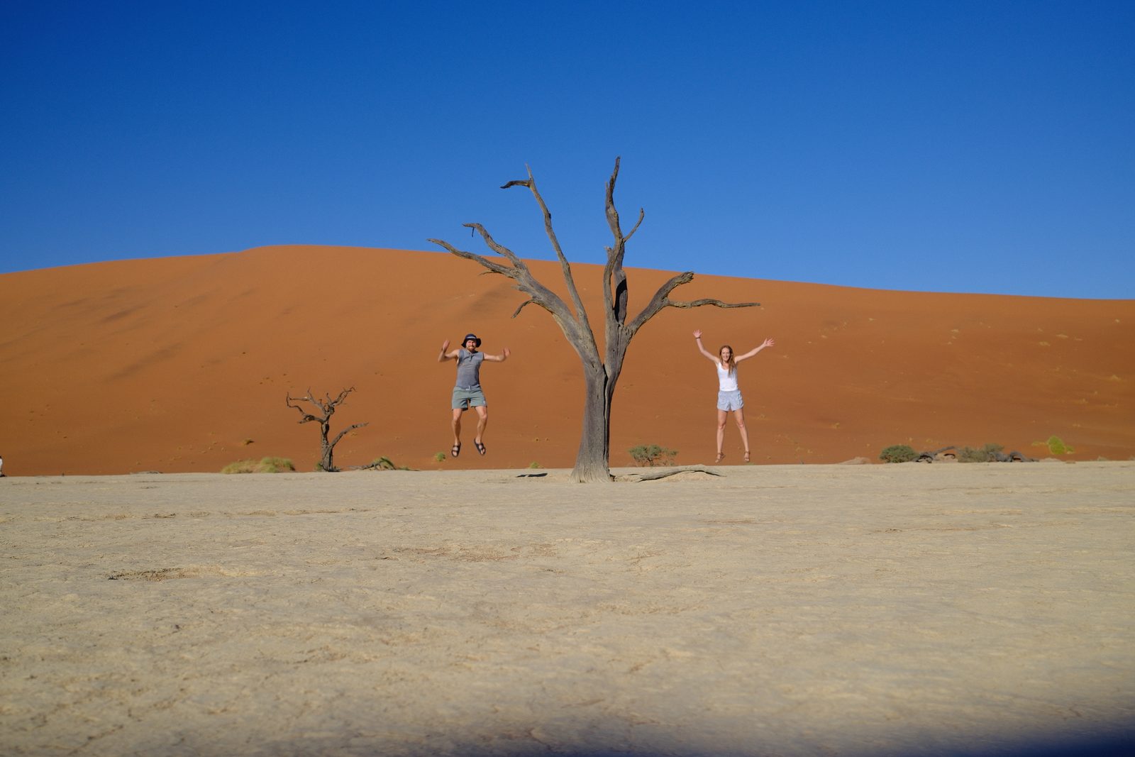 Among the 900-year-old trees of Deadvlei.