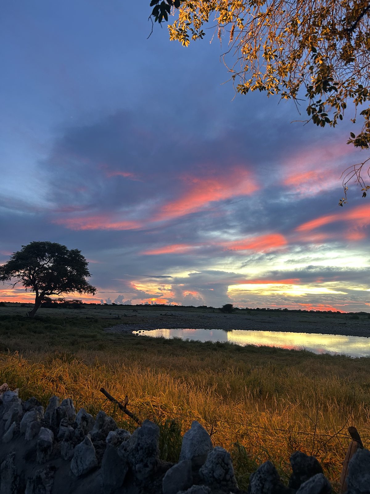 Another ridiculous Namibian sunset in Etosha NP